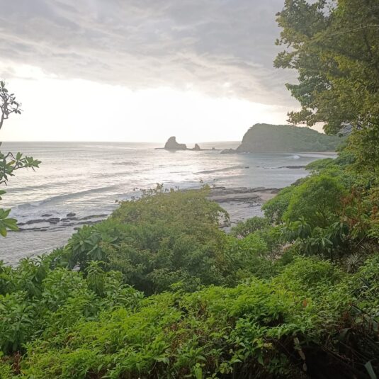 Gaby-2026-Actualizacion-marzo17