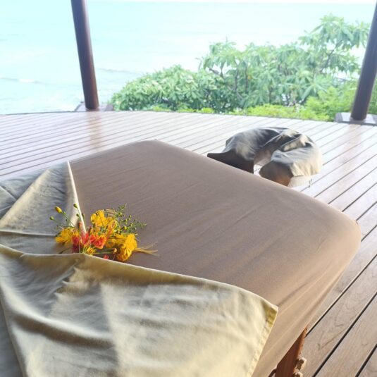 Gaby-2026-Actualizacion-marzo18