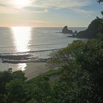 Gaby-2026-Actualizacion-marzo7