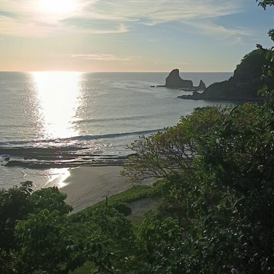 Gaby-2026-Actualizacion-marzo7